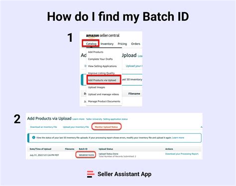 bacchp id